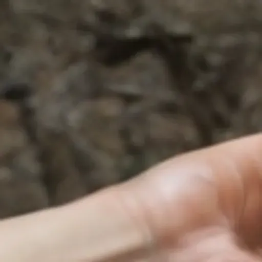 générateur de photos porno IA