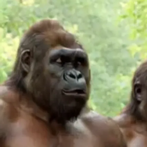 générateur de photos porno IA