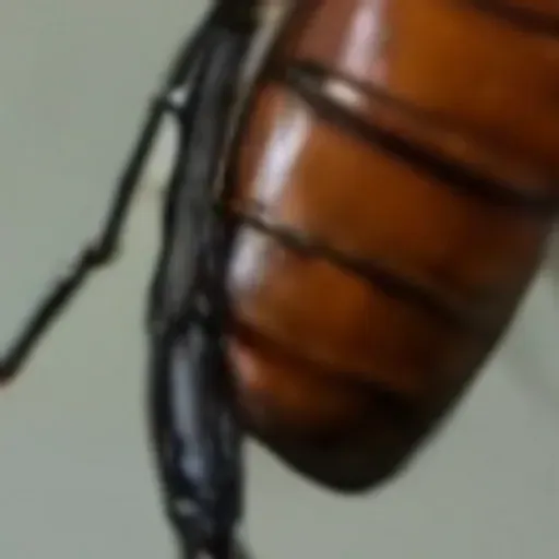 générateur de photos porno IA