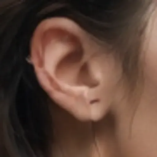 AI 포르노 사진 생성기