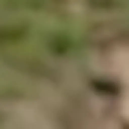 генератор порно-картинок на ИИ