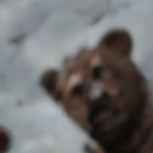 KI-Pornobildchen-Generator