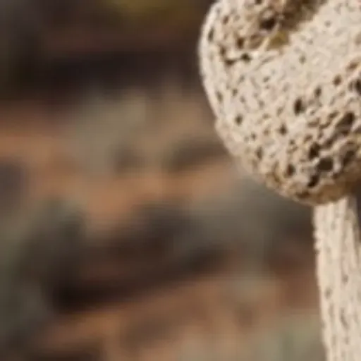 AI色情照片產生器