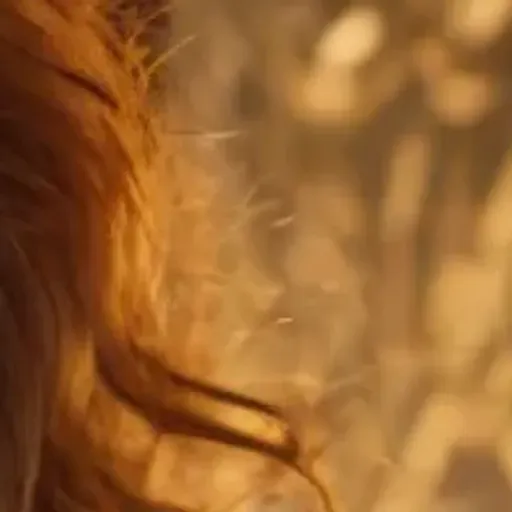 ตัวสร้างรูปโปรโมชั่น AI