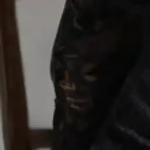 AI 포르노 사진 생성기