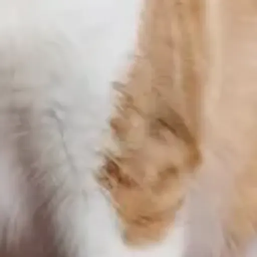 генератор порно-картинок на ИИ