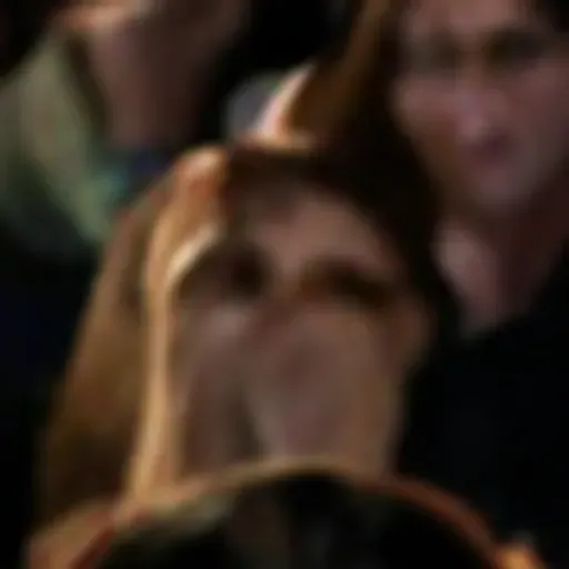 AI色情照片生成器