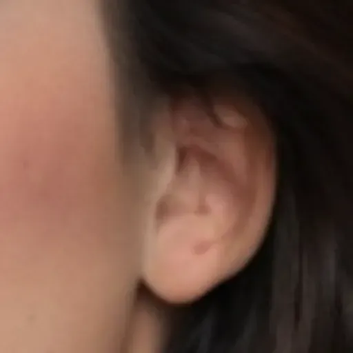 AI 포르노 사진 생성기