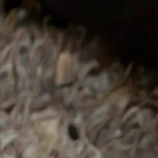 generatore di foto porno IA