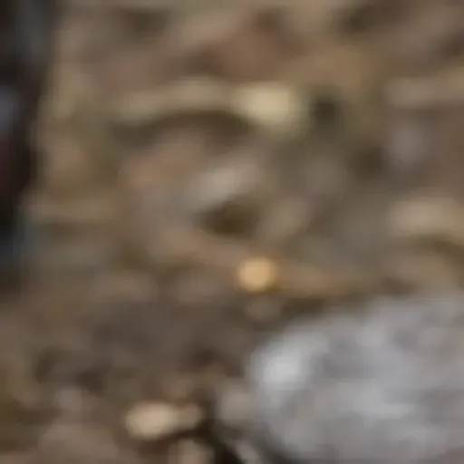 AIポルノ写真ジェネレーター