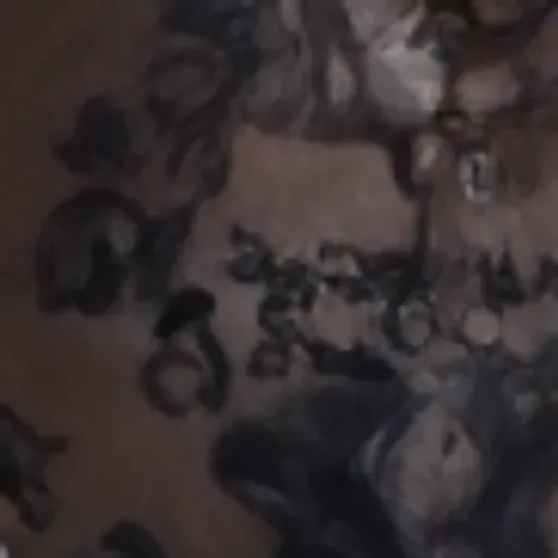 AI 포르노 사진 생성기