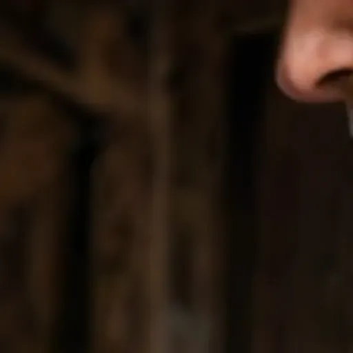 générateur de photos porno IA