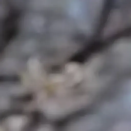 KI-Pornobildchen-Generator