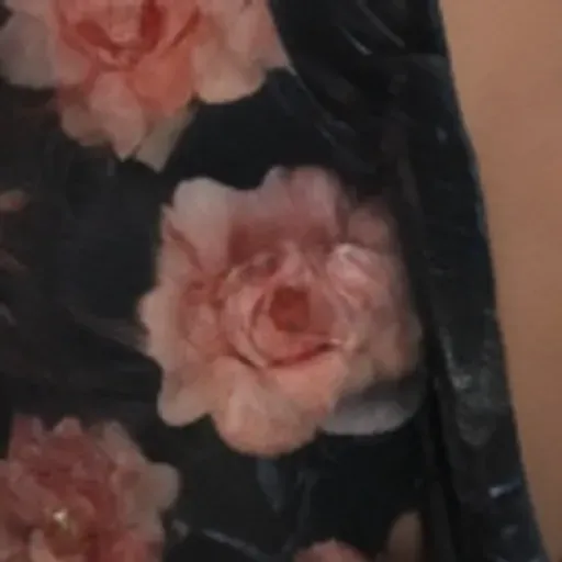 AI 포르노 사진 생성기