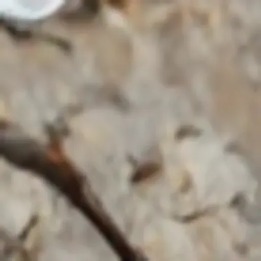 generador de fotos porno con IA