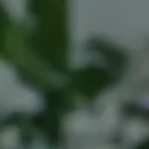 ตัวสร้างรูปโปรโมชั่น AI