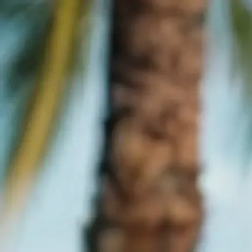 generatore di foto porno IA