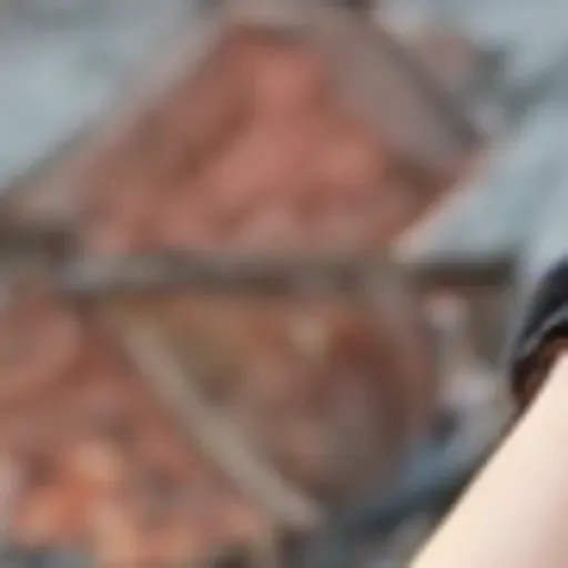 KI-Pornobildchen-Generator