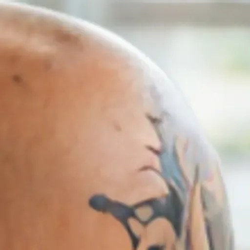 KI-Pornobildchen-Generator