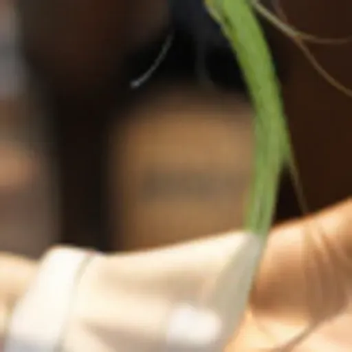 generatore di foto porno IA