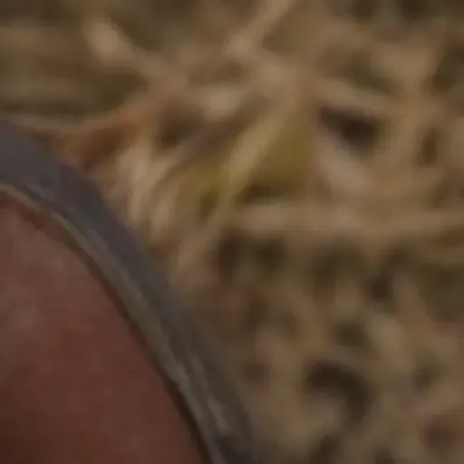 generatore di foto porno IA