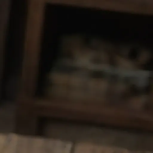 AI 포르노 사진 생성기