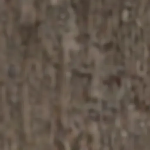 generatore di foto porno IA