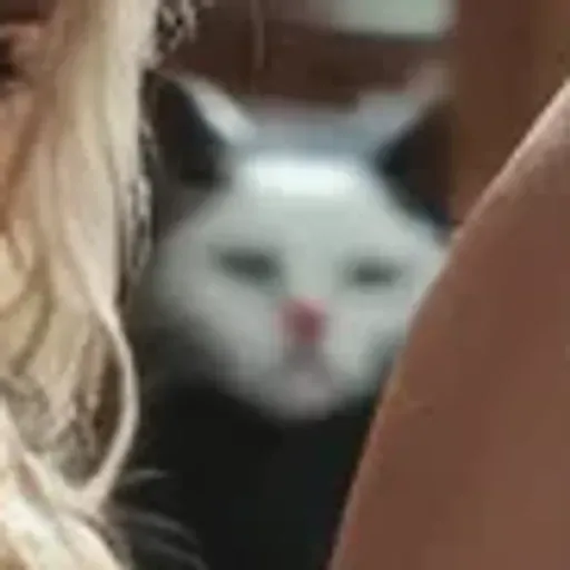 KI-Pornobildchen-Generator