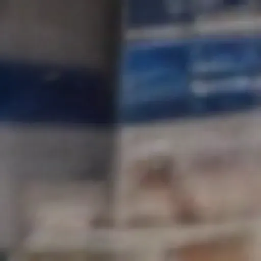 generatore di foto porno IA