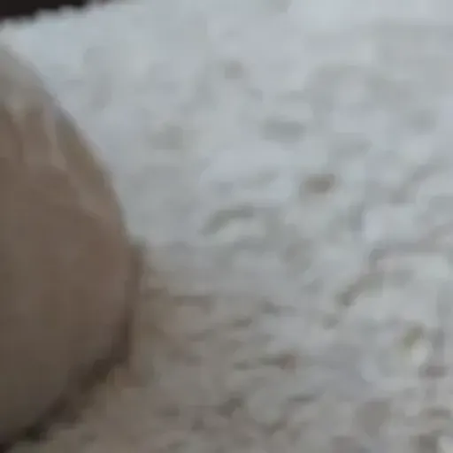 AIポルノ写真ジェネレーター