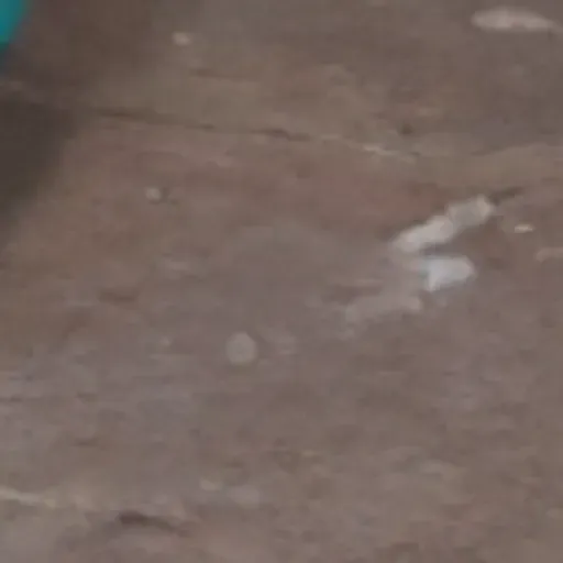 AI 포르노 사진 생성기