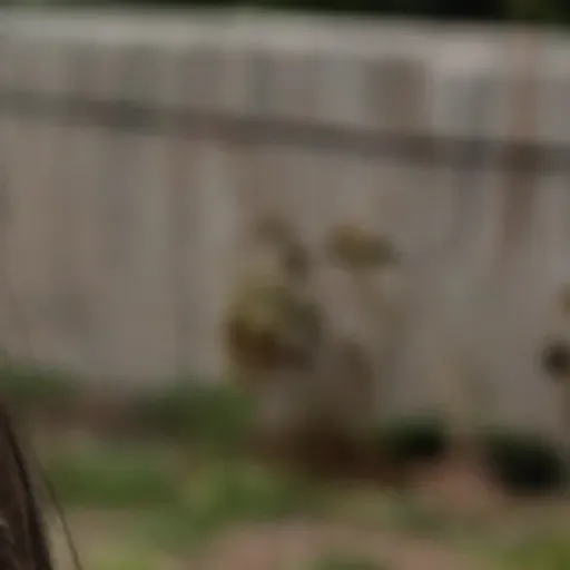 generador de fotos porno con IA