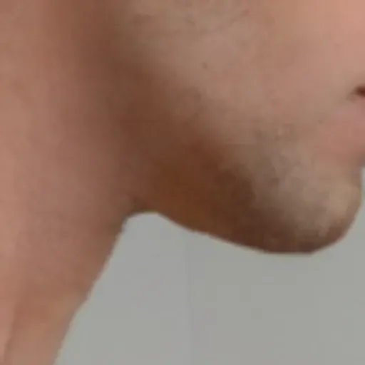 Penghasil gambar lucah AI