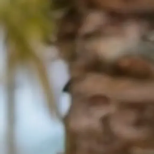 yapay zekâ porno foto üretici