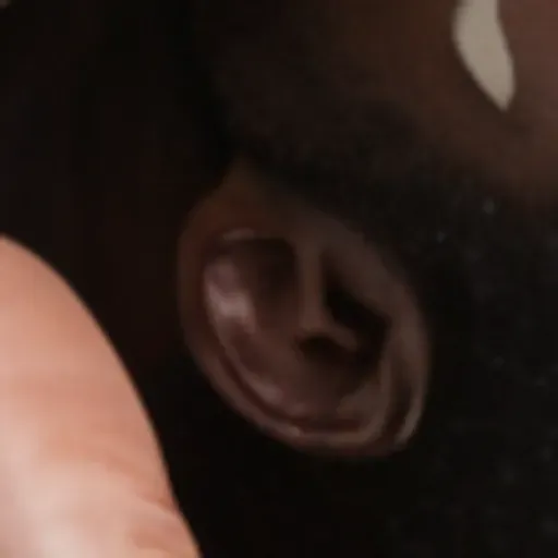 gerador de fotos pornô com IA