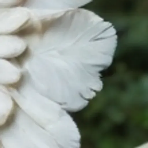 AI色情照片生成器