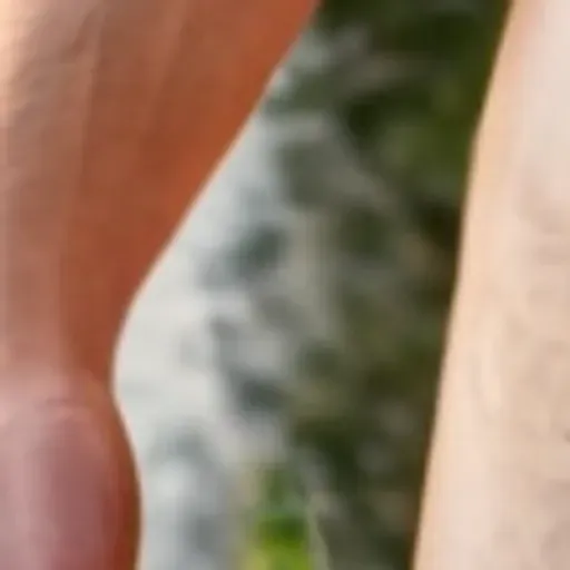 générateur de photos porno IA