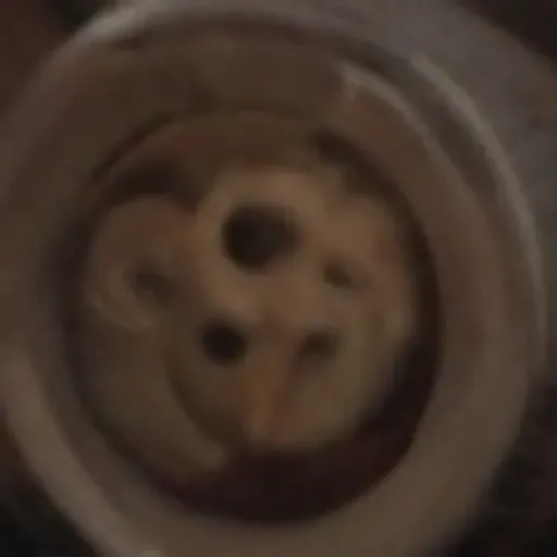 generador de fotos porno con IA