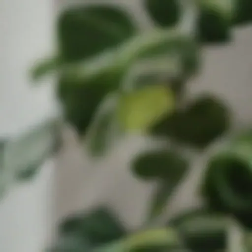 gerador de fotos pornô com IA