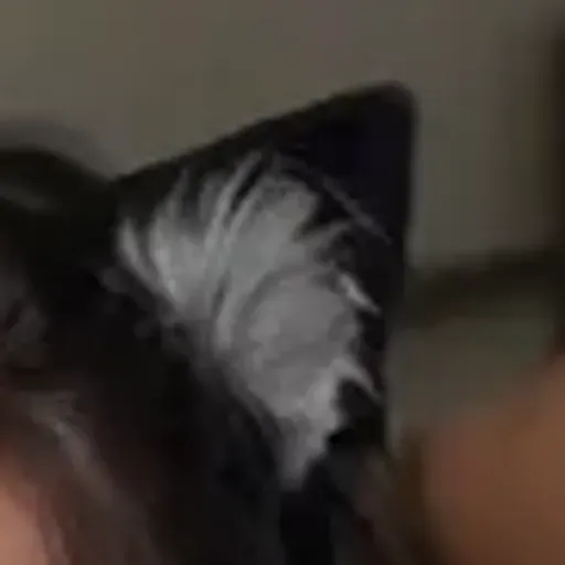 AI porn pic generator