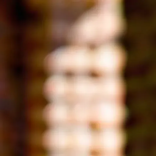generatore di foto porno IA
