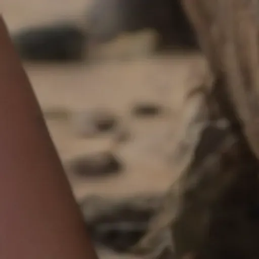 generatore di foto porno IA