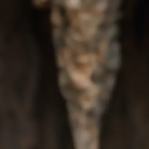 AIポルノ写真ジェネレーター