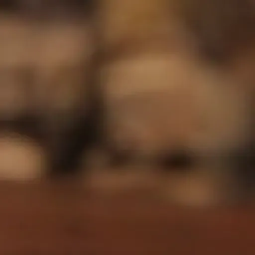 ตัวสร้างรูปโปรโมชั่น AI