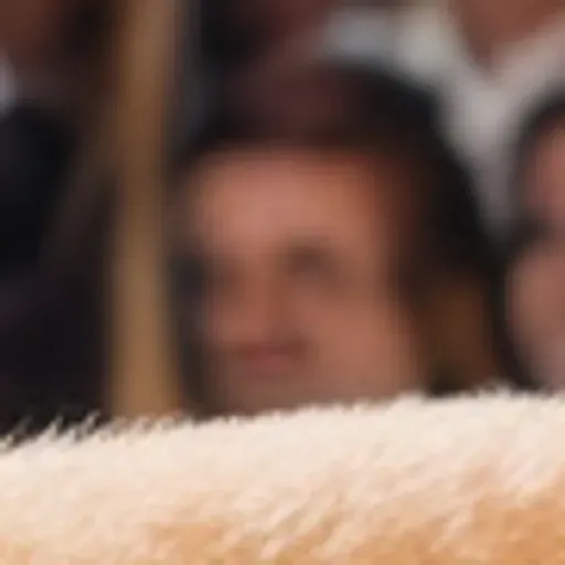 генератор порно-изображений на ИИ