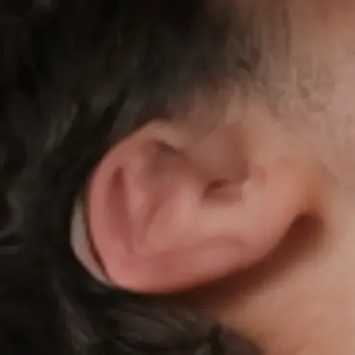 AI 포르노 사진 생성기