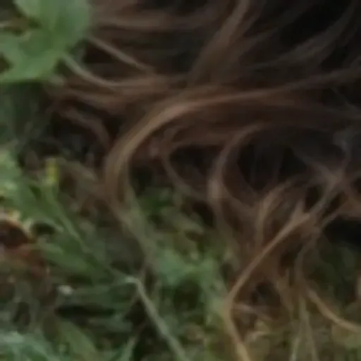 generatore di foto porno IA