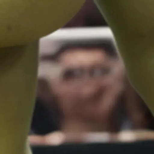 โปรแกรมสร้างภาพโปรนที่ใช้ปัญหา AI