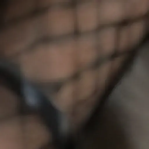 gerador de fotos pornô com IA