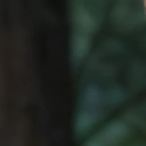 générateur de photos porno IA